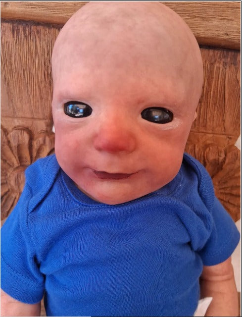 Reborn Dolls